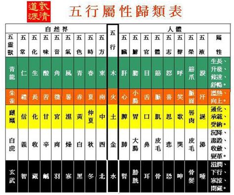 思 五行屬性|【思 五行屬性】思 字五行屬性是什麼？帶你揭曉「思」的五行奧。